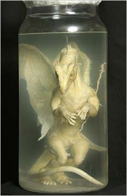 /dateien/,1287912096,180px-Dragon