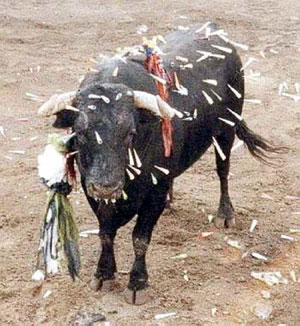 /dateien/21053,1298710877,el-toro-de-coria4