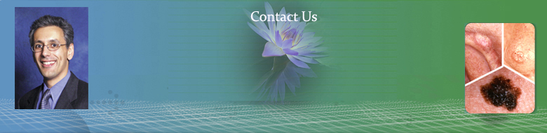 /dateien/59922,1299339404,header5
