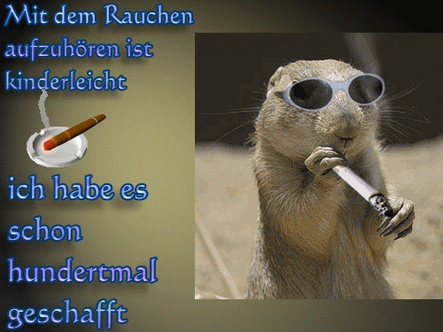 /dateien/70953,1298382603,2888uu80e377