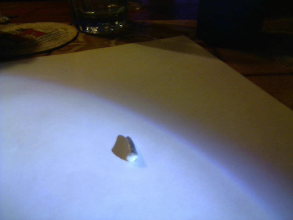 /dateien/78668,1315863019,Picture 110