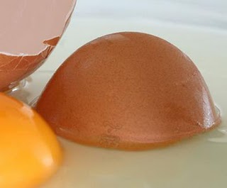 /dateien/ar25993,1292377313,EierSchale