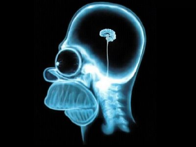 /dateien/gw32809,1287149814,homer-simpson-wallpaper-brain-1024