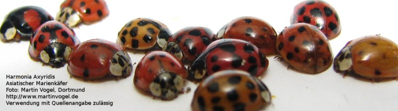 /dateien/gw37059,1229436526,Bild FWR0E2D91