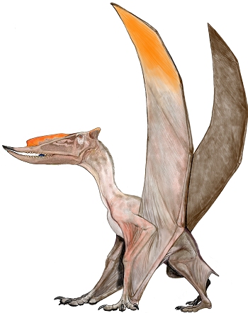 /dateien/it58337,1264952405,Dsungaripterus weii