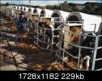 /dateien/mg33471,1229093808,img043uq7.th