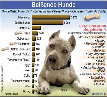 /dateien/mg33906,1253131308,statistik1