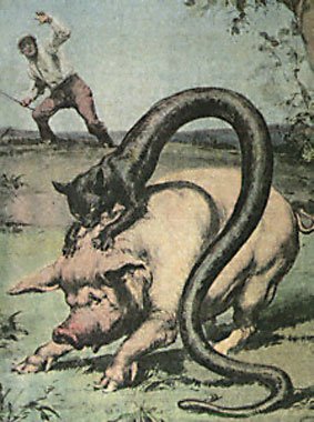 /dateien/mt28031,1157144304,Tatzelwurm