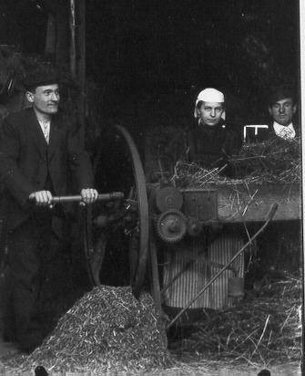 /dateien/mt31345,1235863094,Futterschneiden um 1910