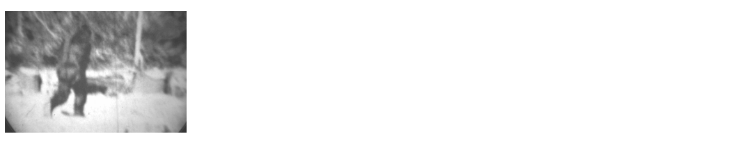 /dateien/mt55676,1249841377,2ir8ymf