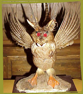 /dateien/mt59849,1264181935,wolpertinger2