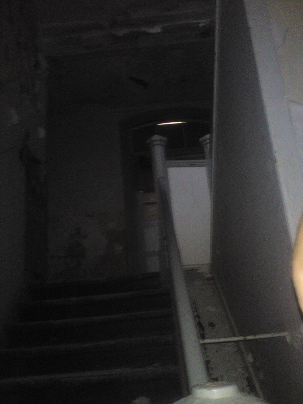 /dateien/mt60564,1279497958,pauli
