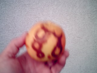 /dateien/mt62397,1272996583,pict0010