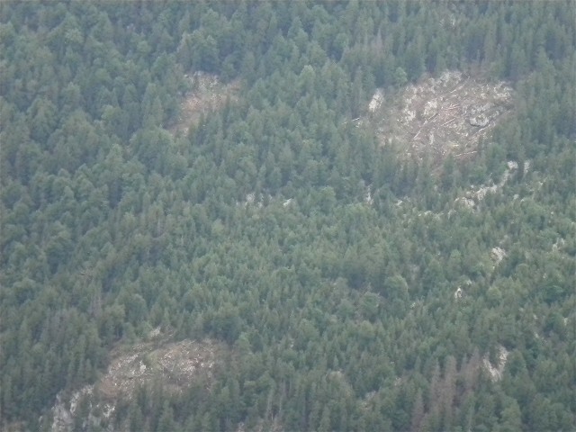 /dateien/mt63471,1276798914,DSCN1953