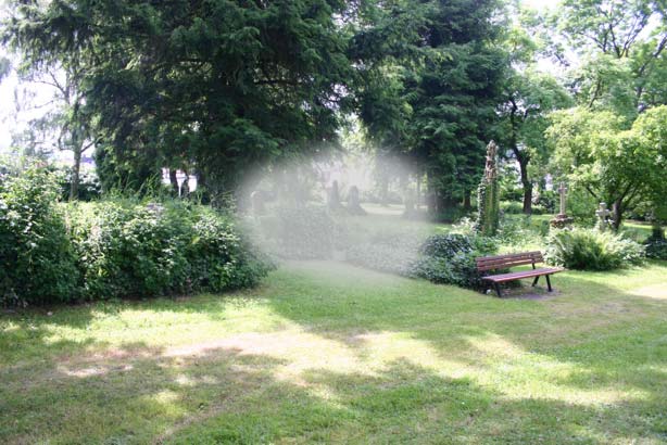 /dateien/mt68472,1291894499,Wolke auf Friedhof