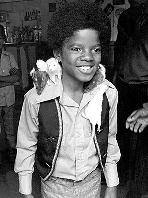 /dateien/np62480,1295557688,micheal-jackson-5.0.0.0x0.300x400