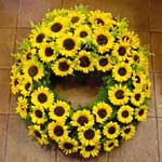/dateien/np62551,1273779558,images5CKranz 20