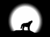 /dateien/np62551,1283160509,mond 02