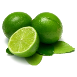 /dateien/np66933,1287509119,Limette fotolia Sandra Caldwell 2099814