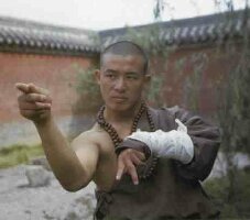 /dateien/pr14265,1118089470,kungfu5h