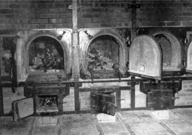 /dateien/pr20131,1234239332,auschwitz