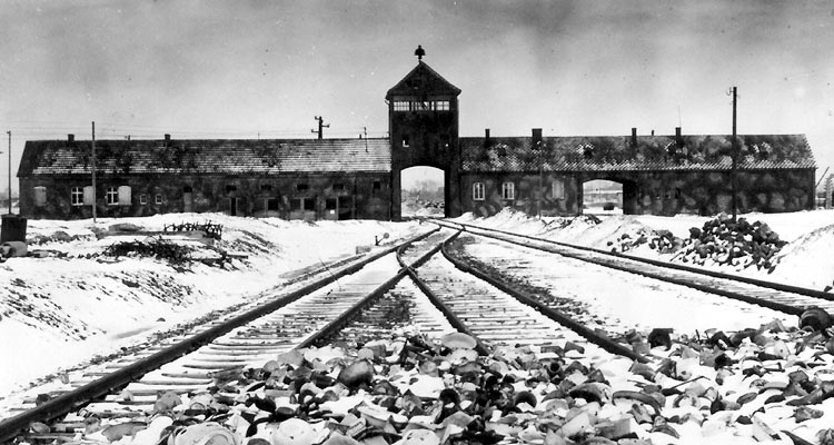 /dateien/pr28907,1263484959,Auschwitz1 750