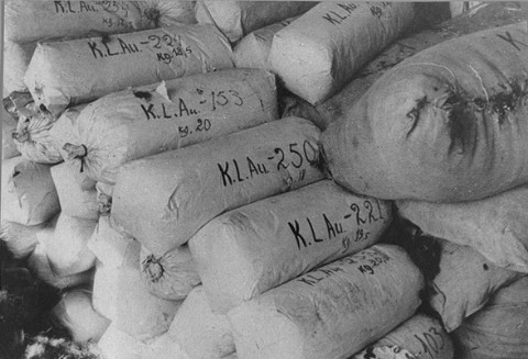 /dateien/pr34290,1219447140,auschwitz32