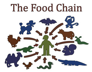 /dateien/rs3448,1272730140,Simpsons Food Chain by SpacePlatypus