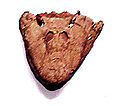 /dateien/rs3448,1274478244,120px-Tiktaalik skull full front