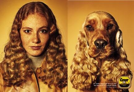 /dateien/rs3448,1275235012,cockerspanielmensch