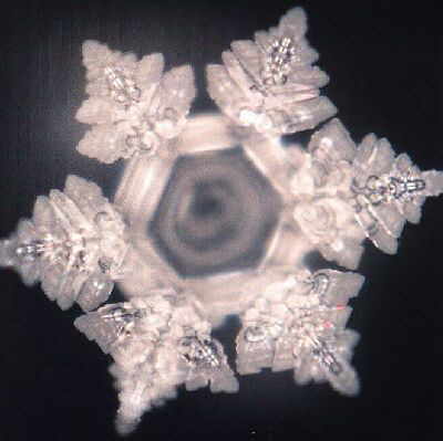 /dateien/rs41797,1271599911,watercrystal