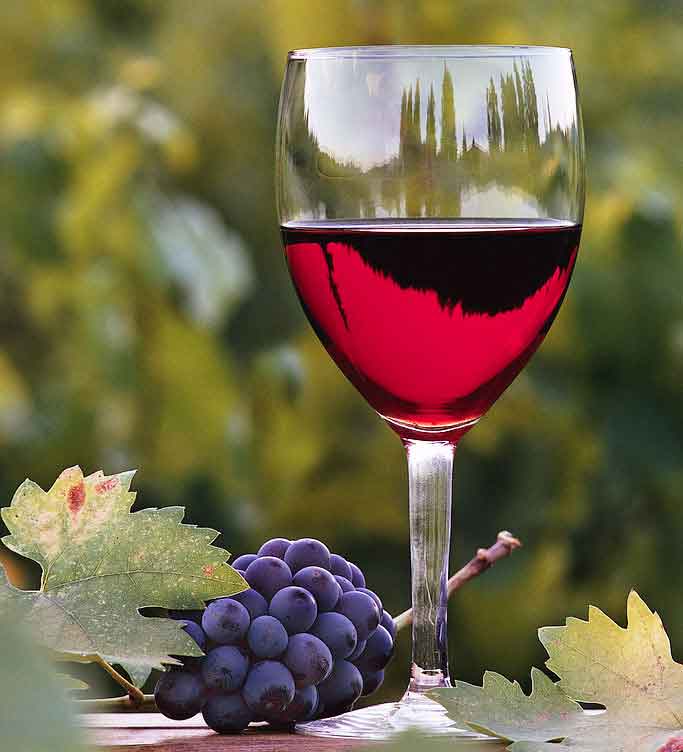 /dateien/rs5862,1260902417,winery default