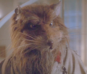 /dateien/tp61955,1292360494,splinter