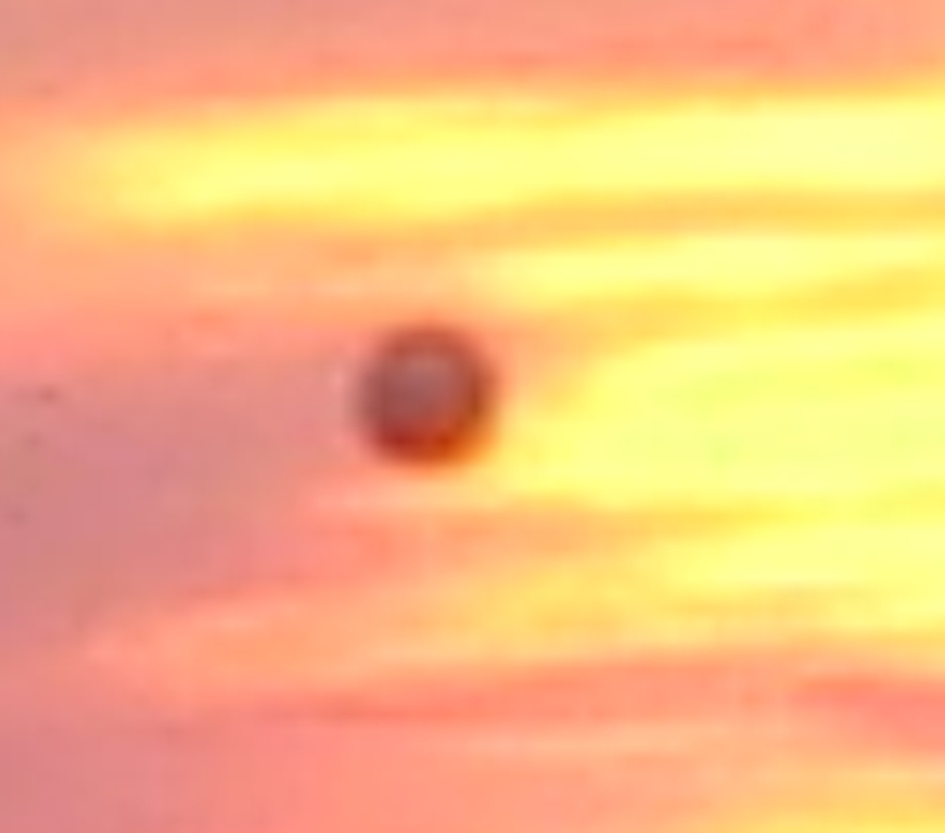 /dateien/uf14849,1218060364,uf14849,1217856038,IMG 1013