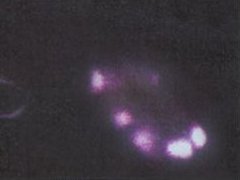 /dateien/uf28204,1215614846,NASA2as