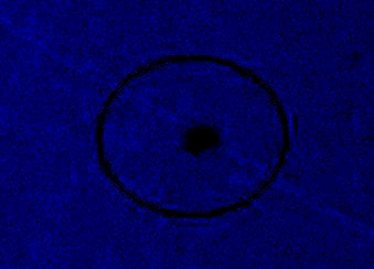 /dateien/uf57599,1256936968,1
