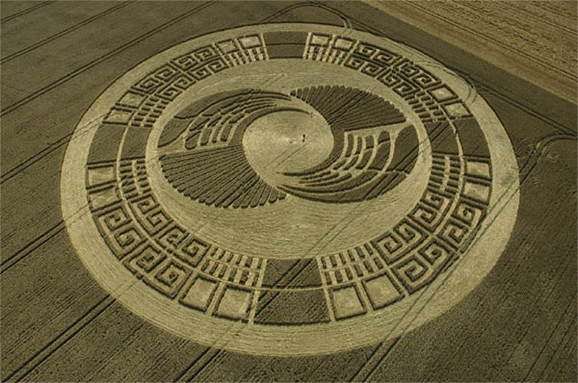 /dateien/uf5772,1215360029,cropcircle9