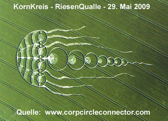 /dateien/uf5772,1283067432,Kornkreis2