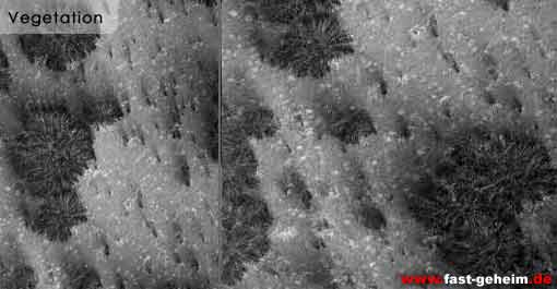 /dateien/uf9504,1104102971,Mars9