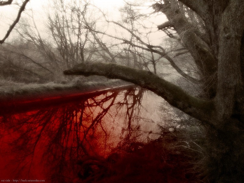 /dateien/uh28902,1158940633,Dark-Art 208 800x600