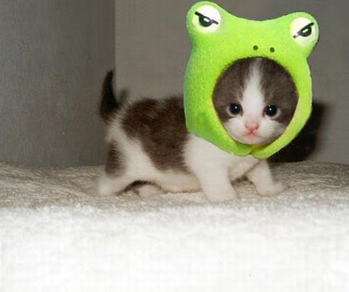 /dateien/uh28902,1159479347,Hello Kitty