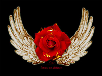/dateien/uh28902,1160863306,wings
