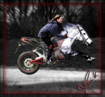 /dateien/uh28902,1165741195,mary benelli sprung Kopie