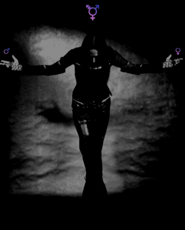 /dateien/uh28902,1171996360,2goth transgender inside
