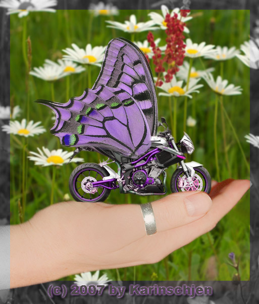 /dateien/uh28902,1172362486,Blumenwiese3 Kopie