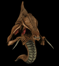 /dateien/uh41119,1196975458,zerg