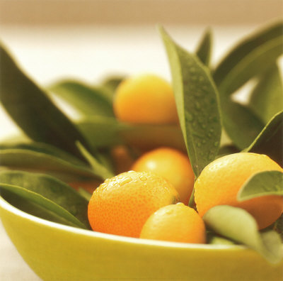 /dateien/uh41119,1197046210,ARE140~Kumquats-Posters