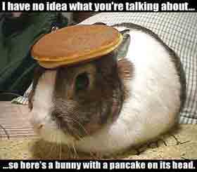 /dateien/uh41119,1208098475,bunny-pancake