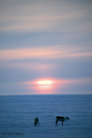 /dateien/uh42452,1229428007,winter-sonne-wintergedicht 7147