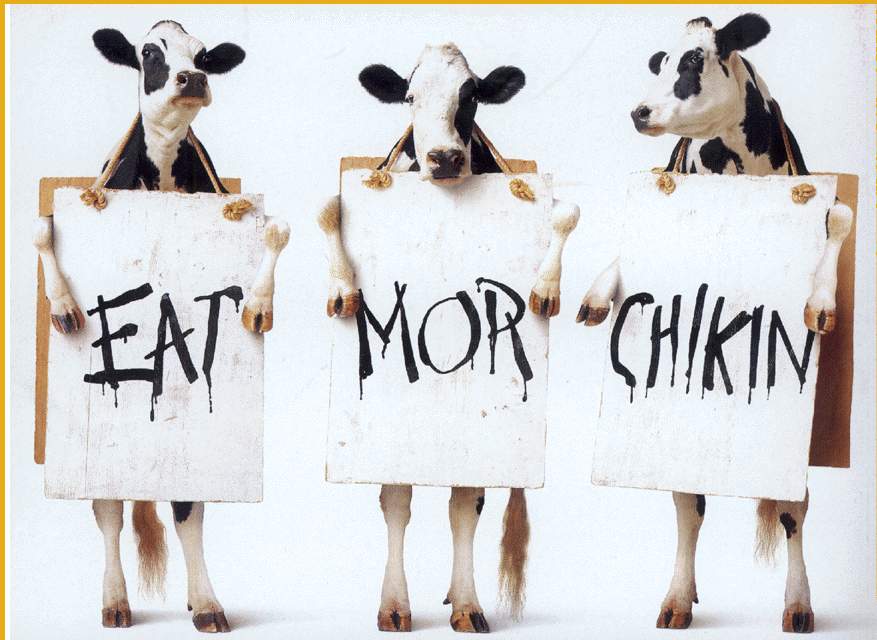 /dateien/uh56624,1259047406,eat more chicken